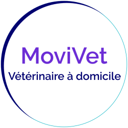 MoviVet_logo_new
